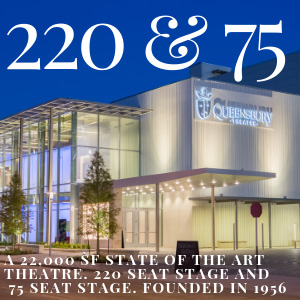 Town Centre's theater has two stages - one that seats 220 and one that seats 75